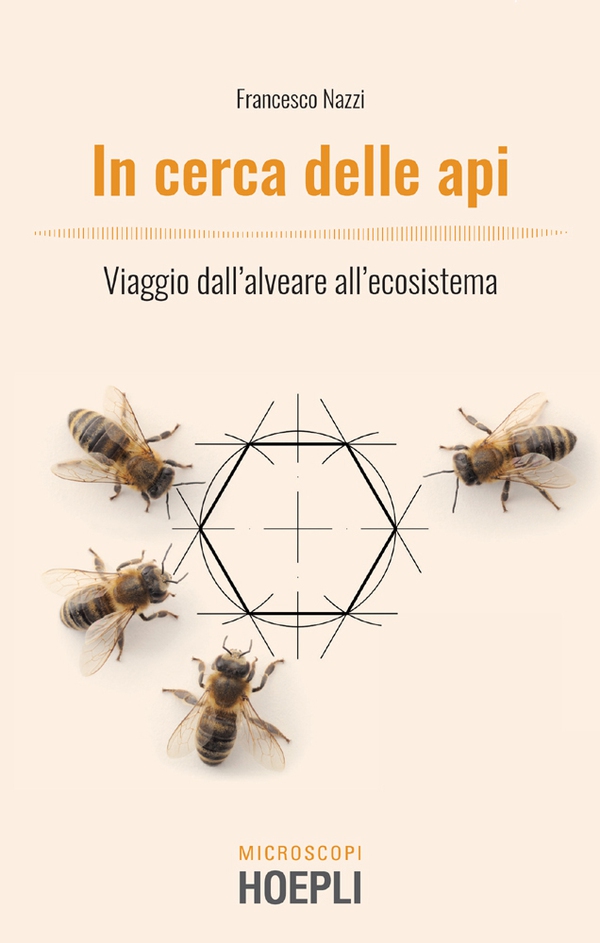 In cerca delle api - Librerie.coop In cerca delle api - Librerie.coop