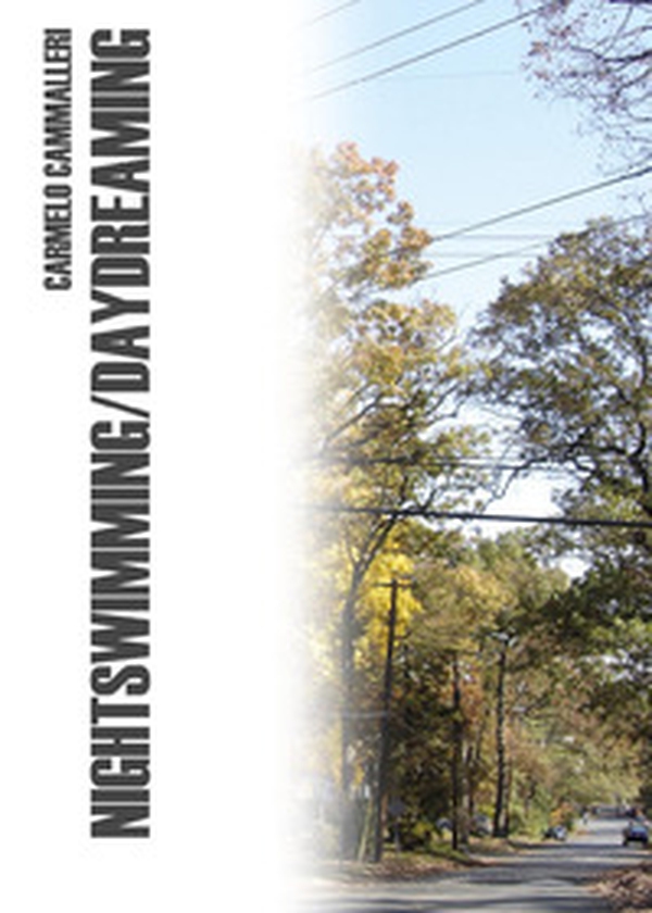 Nightswimming/daydreaming - Librerie.coop Nightswimming/daydreaming - Librerie.coop