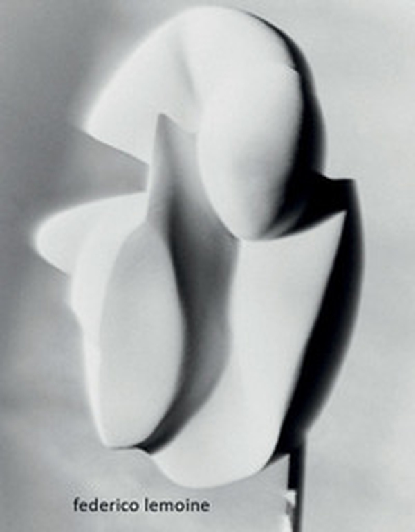 Federico Lemoine. Mise en abyme. Ediz. italiana, inglese e francese - Librerie.coop