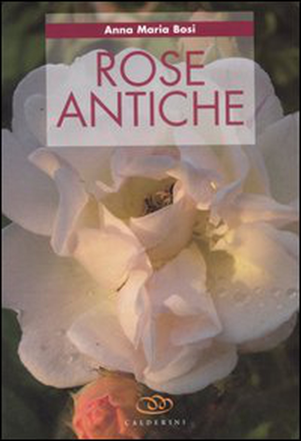 Rose antiche - Librerie.coop Rose antiche - Librerie.coop