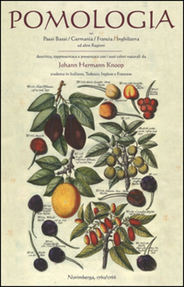 Pomologia nei Paesi Bassi, Germania, Francia, Inghilterra ed altre regioni. Ediz. tedesca - Librerie.coop Pomologia nei Paesi Bassi, Germania, Francia, Inghilterra ed altre regioni. Ediz. tedesca - Librerie.coop
