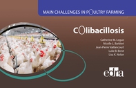 Main Challenges in Poultry Farming. Colibacillosis - Librerie.coop