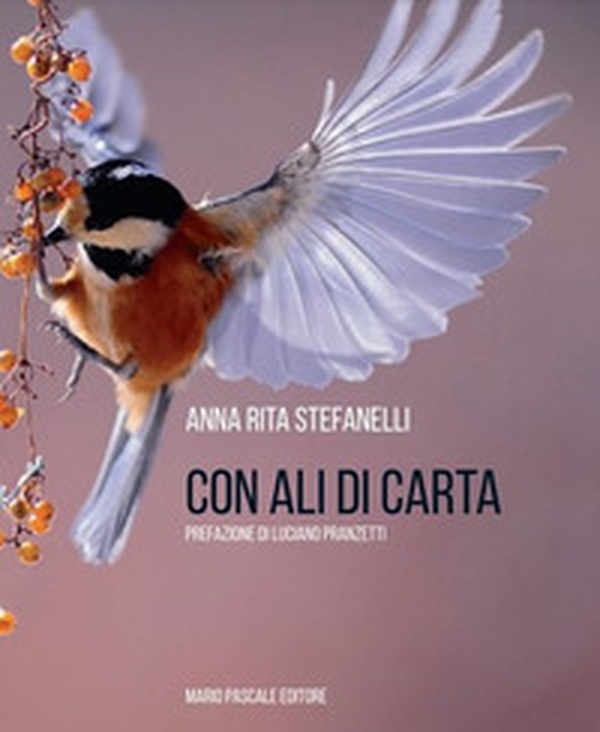 Con ali di carta - Librerie.coop Con ali di carta - Librerie.coop