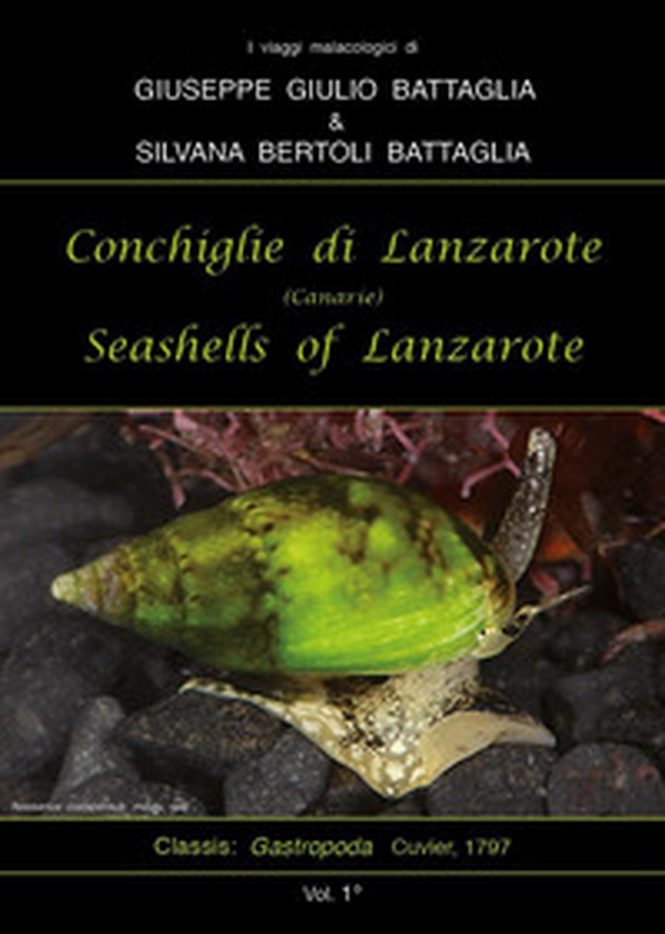 Conchiglie di Lanzarote-Seashells of Lanzarote - Vol. 1 - Librerie.coop Conchiglie di Lanzarote-Seashells of Lanzarote - Vol. 1 - Librerie.coop
