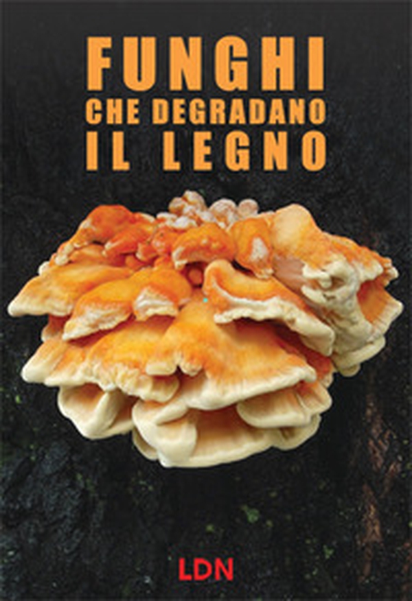 Funghi che degradano il legno. Dinamiche di azione e conseguenze per gli alberi in ambiente forestale e urbano - Librerie.coop Funghi che degradano il legno. Dinamiche di azione e conseguenze per gli alberi in ambiente forestale e urbano - Librerie.coop