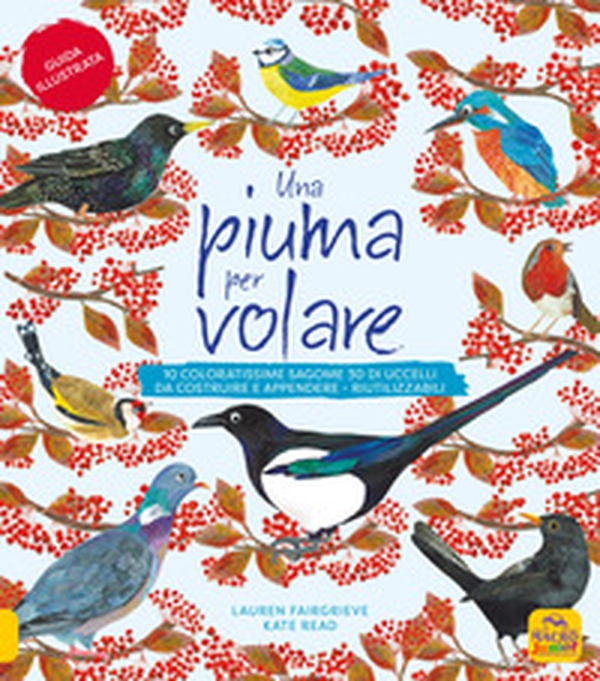 Una piuma per volare. 10 coloratissime sagome 3D di uccelli da costruire e appendere - Librerie.coop Una piuma per volare. 10 coloratissime sagome 3D di uccelli da costruire e appendere - Librerie.coop