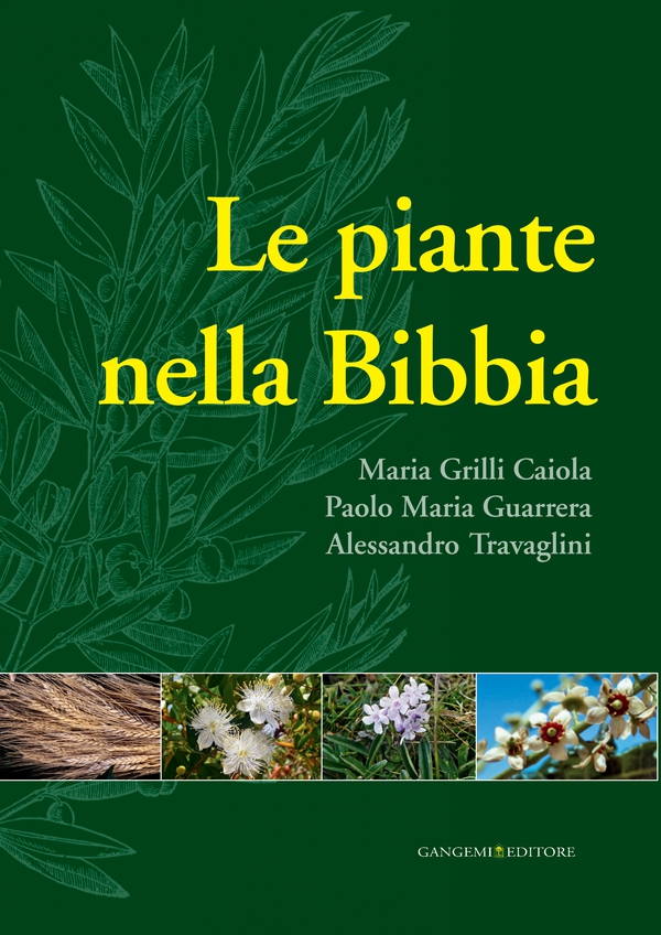 A colloquio con Franco Purini - Librerie.coop A colloquio con Franco Purini - Librerie.coop