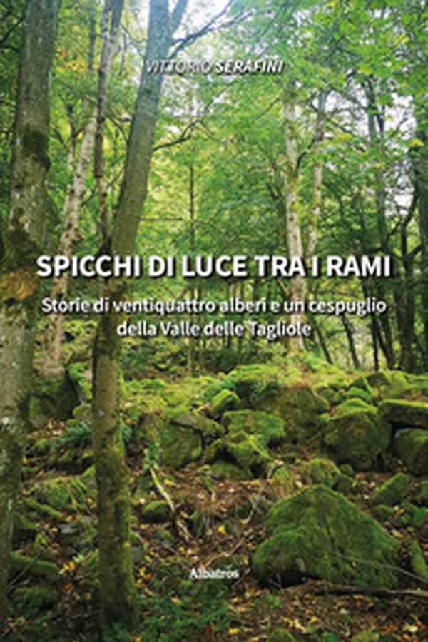 Spicchi di luce tra i rami. Storie di ventiquattro alberi e un cespuglio della Valle delle Tagliole - Librerie.coop Spicchi di luce tra i rami. Storie di ventiquattro alberi e un cespuglio della Valle delle Tagliole - Librerie.coop