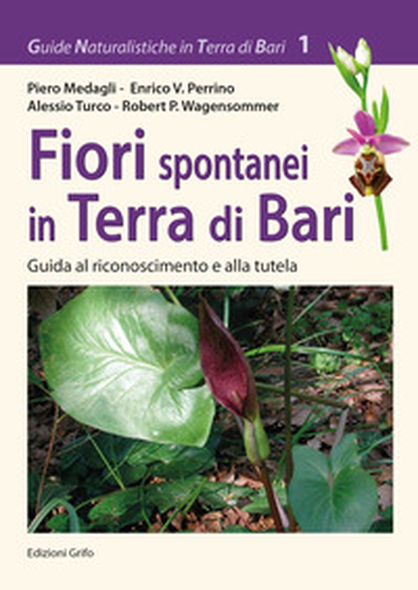 Fiori spontanei in Terra di Bari. Guida al riconoscimento e alla tutela - Librerie.coop Fiori spontanei in Terra di Bari. Guida al riconoscimento e alla tutela - Librerie.coop