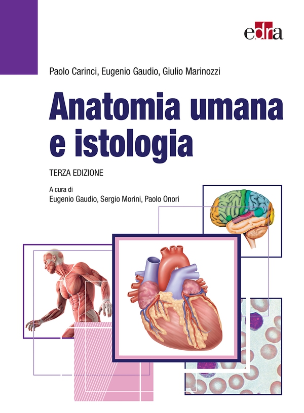 Anatomia umana e istologia - Librerie.coop Anatomia umana e istologia - Librerie.coop