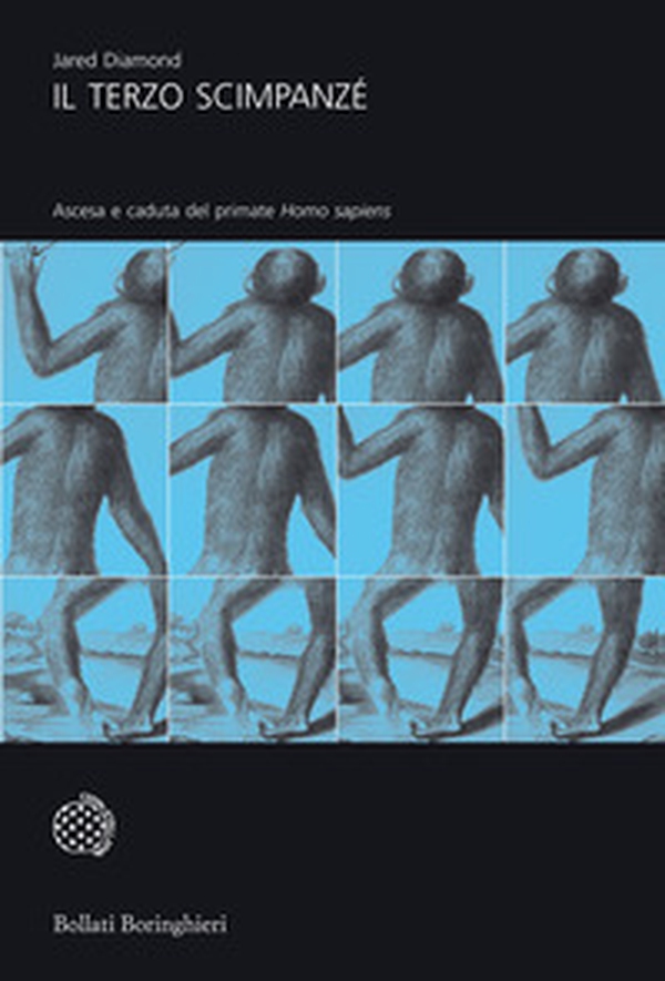 Il terzo scimpanzé. Ascesa e caduta del primate homo sapiens - Librerie.coop Il terzo scimpanzé. Ascesa e caduta del primate homo sapiens - Librerie.coop