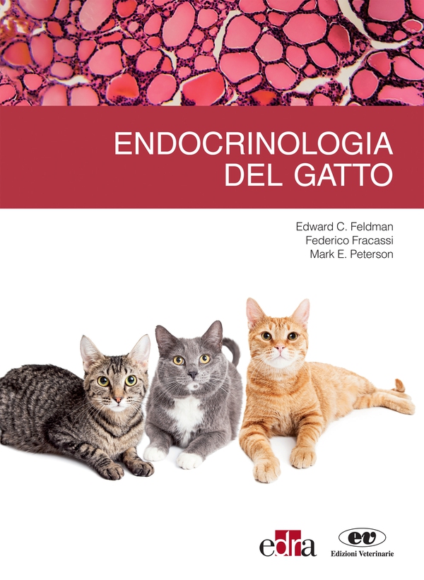 Endocrinologia del gatto - Librerie.coop Endocrinologia del gatto - Librerie.coop