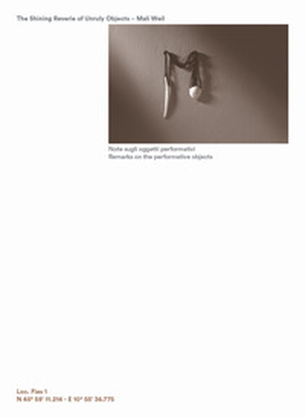 The shining reverie of unruly objects - Librerie.coop The shining reverie of unruly objects - Librerie.coop