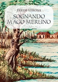 Sognando mago Merlino - Librerie.coop