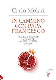 In cammino con papa Francesco. Evangelii Gaudium, Laudato si', Amoris laetitia. Commenti - Librerie.coop