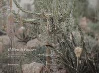 Il libro di Padova. Ediz. italiana e francese - Librerie.coop