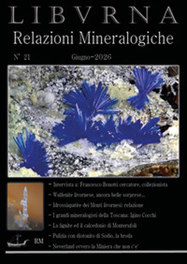Relazioni mineralogiche. Libvrna - Vol. 21 - Librerie.coop
