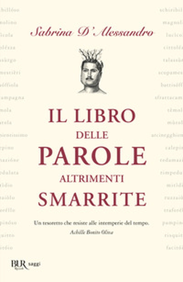 Il libro delle parole altrimenti smarrite - Librerie.coop Il libro delle parole altrimenti smarrite - Librerie.coop