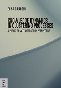 Knowledge dynamics in clustering processes. A public-private interaction perspective - Librerie.coop