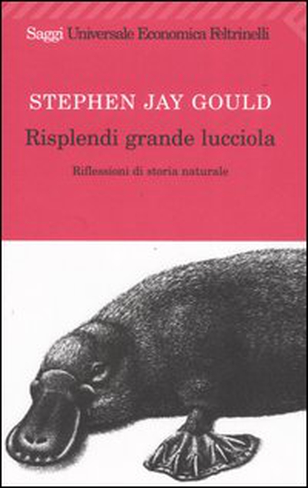 Risplendi grande lucciola. Riflessioni di storia naturale - Librerie.coop Risplendi grande lucciola. Riflessioni di storia naturale - Librerie.coop