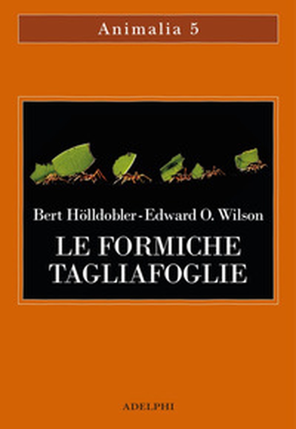 Le formiche tagliafoglie. La conquista della civiltà attraverso l'istinto - Librerie.coop Le formiche tagliafoglie. La conquista della civiltà attraverso l'istinto - Librerie.coop