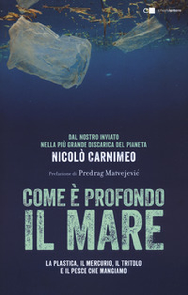 Come è profondo il mare. La plastica, il mercurio, il tritolo e il pesce che mangiamo - Librerie.coop Come è profondo il mare. La plastica, il mercurio, il tritolo e il pesce che mangiamo - Librerie.coop