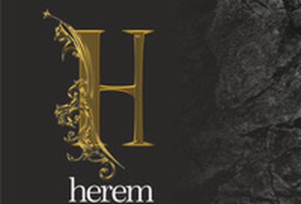 Herem. Chiese abbandonate - Librerie.coop Herem. Chiese abbandonate - Librerie.coop