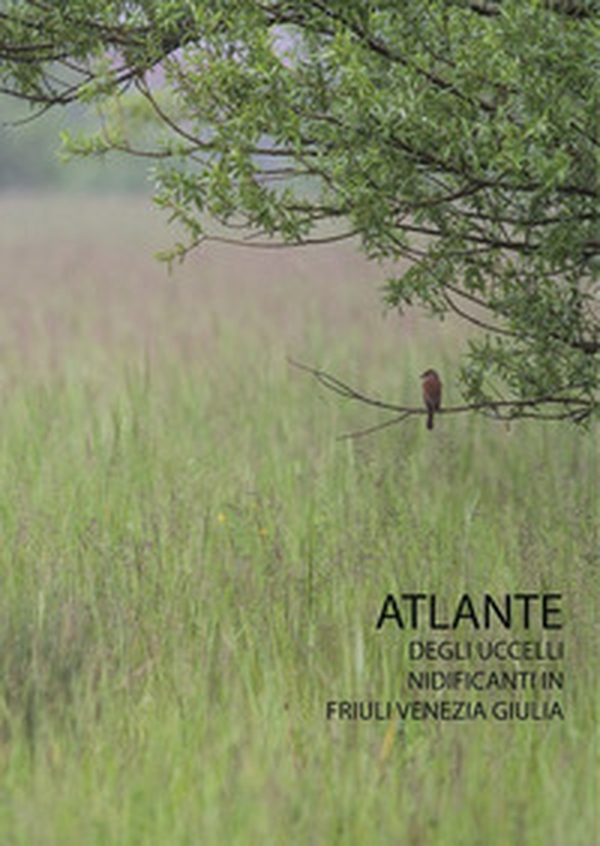 Atlante degli uccelli nidificanti in Friuli Venezia Giulia - Librerie.coop Atlante degli uccelli nidificanti in Friuli Venezia Giulia - Librerie.coop