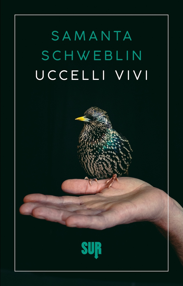 Uccelli vivi - Librerie.coop