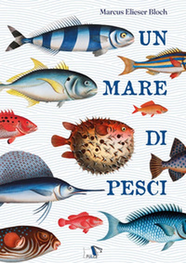 Un mare di pesci - Librerie.coop Un mare di pesci - Librerie.coop
