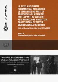 Esperienze di tutela dei diritti fondamentali a confronto. Seminario interno del Corso di Alta Formazione in Giustizia costituzionale, anno 2017 - Librerie.coop