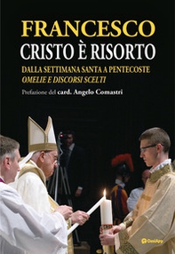 Cristo è risorto. Dalla Settimana Santa a Pentecoste. Omelie e discorsi scelti - Librerie.coop