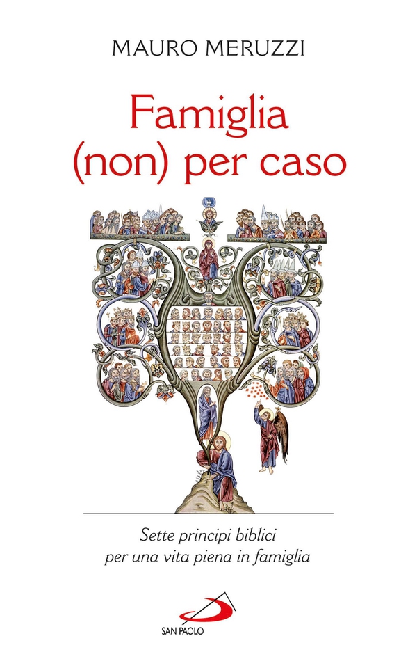 Famiglia (non) per caso. Sette principi biblici per una vita piena in famiglia - Librerie.coop