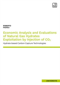 Economic analysis and evaluations of natural gas hydrates exploitation by injection of CO2. Hydrate-based carbon capture technologies - Librerie.coop Economic analysis and evaluations of natural gas hydrates exploitation by injection of CO2. Hydrate-based carbon capture technologies - Librerie.coop
