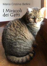 I miracoli dei gatti - Librerie.coop