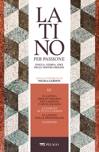 Il latino preletterario dei carmina e degli elogia. Le parole di tutti i giorni. Il latino nelle professioni. Cicerone - Librerie.coop