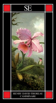 Camminare - Librerie.coop