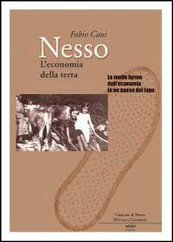 Nesso. L'economia della terra. Le molte forme dell'economia in un paese del lago - Librerie.coop Nesso. L'economia della terra. Le molte forme dell'economia in un paese del lago - Librerie.coop