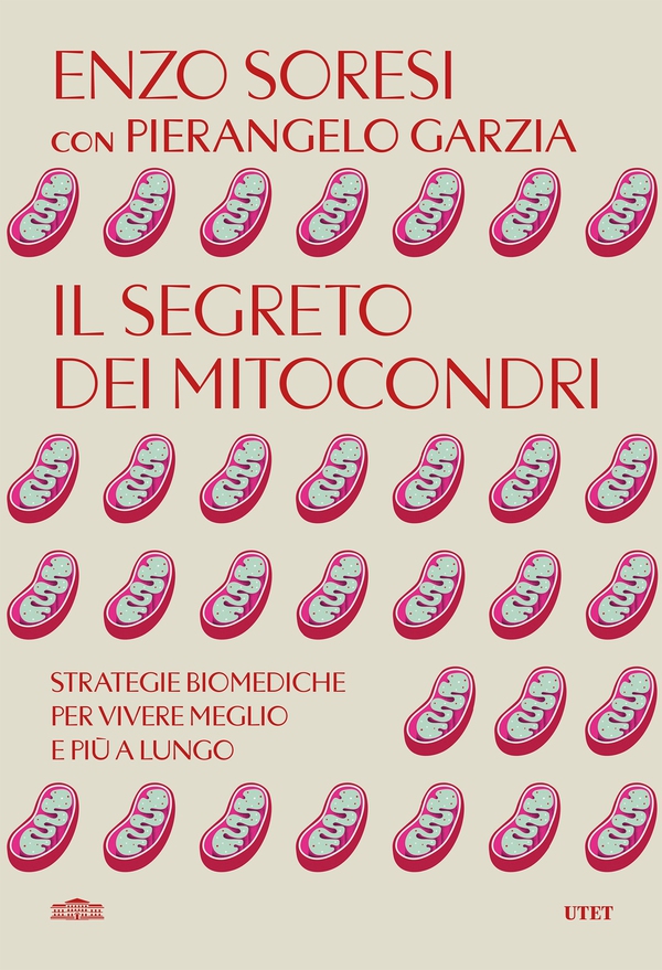 Il segreto dei mitocondri - Librerie.coop Il segreto dei mitocondri - Librerie.coop