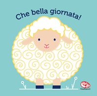 Che bella giornata. Il mio primo libro di stoffa - Librerie.coop