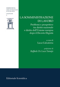 La somministrazione di lavoro. Problemi e prospettive tra diritto nazionale e diritto dell'Unione europea dopo il Decreto Dignità - Librerie.coop