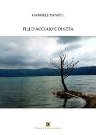 Fili d'acciaio e di seta - Librerie.coop