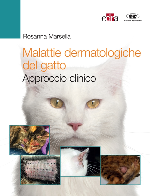 Malattie dermatologiche del gatto - Librerie.coop Malattie dermatologiche del gatto - Librerie.coop