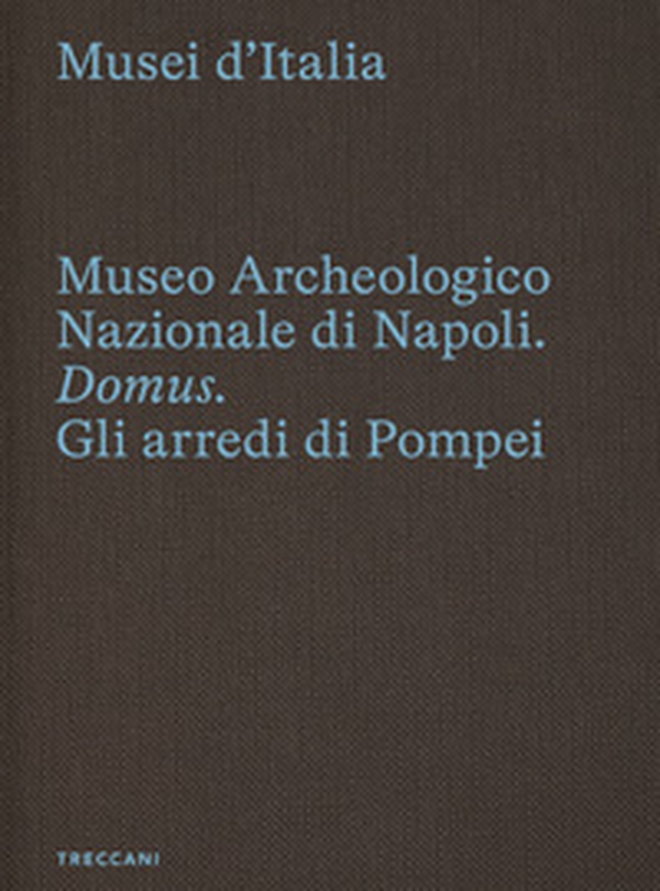 Museo archeologico nazionale di Napoli. Domus. Gli arredi di Pompei. Ediz. italiana e inglese - Librerie.coop