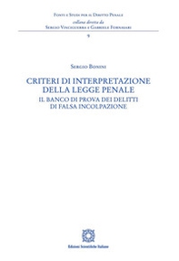 Criteri di interpretazione della legge penale - Librerie.coop