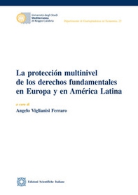 La protección multinivel de los derechos fundamentales en Europa y en América Latina - Librerie.coop