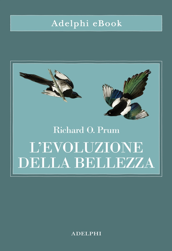 L’evoluzione della bellezza - Librerie.coop L’evoluzione della bellezza - Librerie.coop