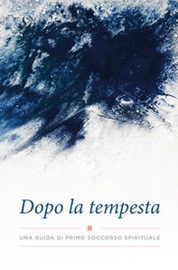 Dopo la tempesta. Una guida di primo soccorso spirituale - Librerie.coop