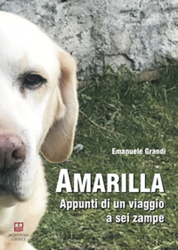 Amarilla. Appunti di un viaggio a sei zampe - Librerie.coop Amarilla. Appunti di un viaggio a sei zampe - Librerie.coop