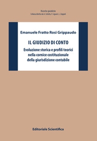 Il giudizio di conto. Evoluzione storica e profili teorici nella cornice costituzionale della giurisdizione contabile - Librerie.coop